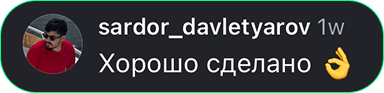 Theo AI foydalanuvchi fikri 20